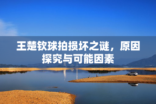 王楚钦球拍损坏之谜，原因探究与可能因素