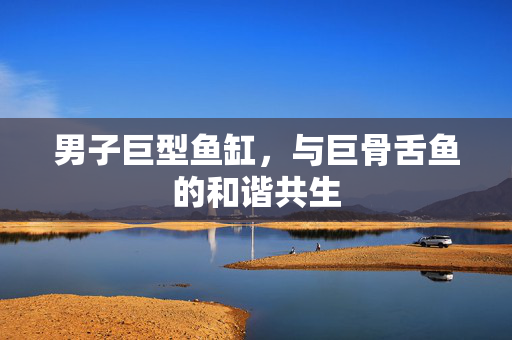 男子巨型鱼缸，与巨骨舌鱼的和谐共生