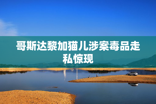 哥斯达黎加猫儿涉案毒品走私惊现