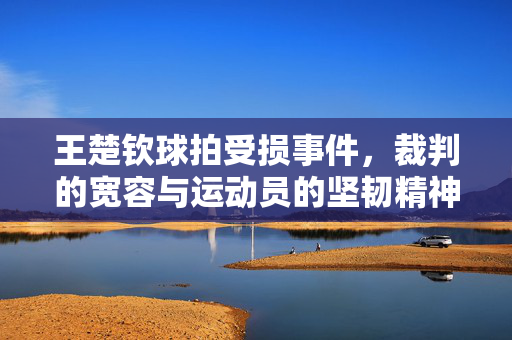王楚钦球拍受损事件，裁判的宽容与运动员的坚韧精神展现