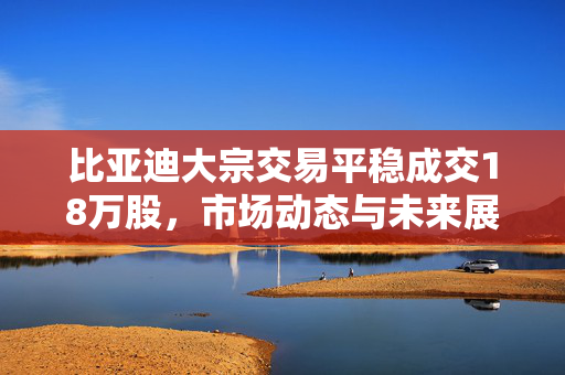 比亚迪大宗交易平稳成交18万股，市场动态与未来展望