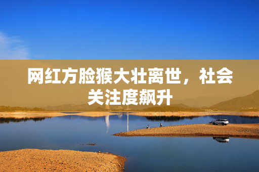 网红方脸猴大壮离世，社会关注度飙升