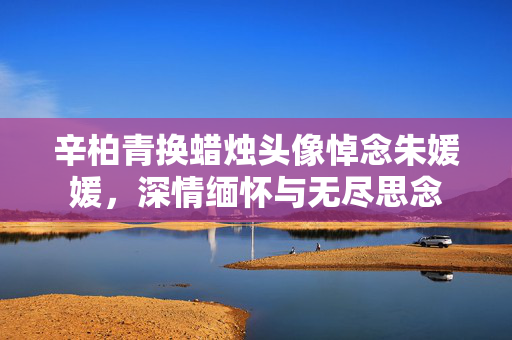 辛柏青换蜡烛头像悼念朱媛媛，深情缅怀与无尽思念