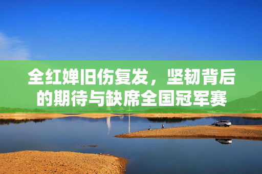 全红婵旧伤复发，坚韧背后的期待与缺席全国冠军赛
