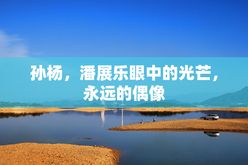 孙杨，潘展乐眼中的光芒，永远的偶像