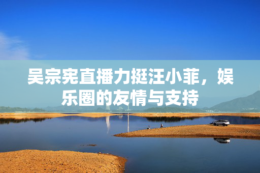 吴宗宪直播力挺汪小菲，娱乐圈的友情与支持