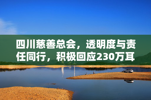 四川慈善总会，透明度与责任同行，积极回应230万耳环事件