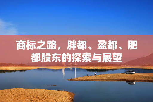 商标之路，胖都、盈都、肥都股东的探索与展望