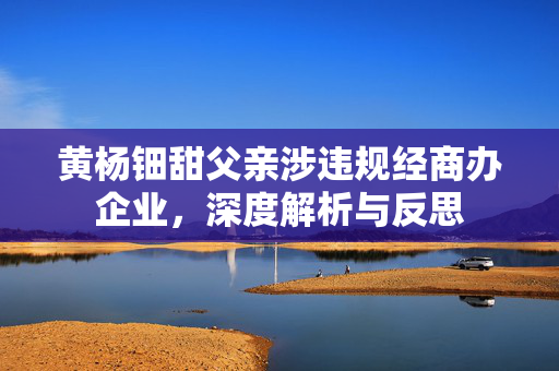 黄杨钿甜父亲涉违规经商办企业，深度解析与反思
