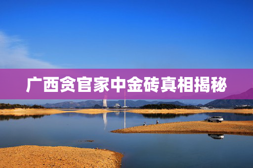 广西贪官家中金砖真相揭秘