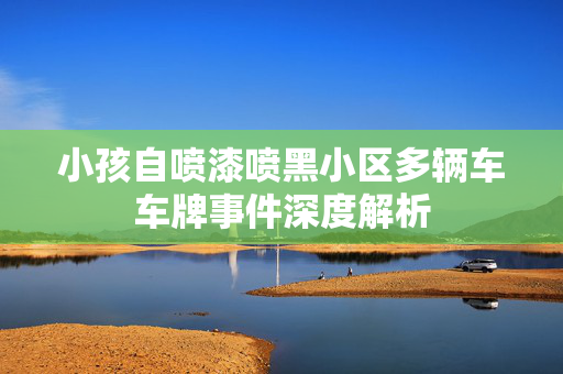 小孩自喷漆喷黑小区多辆车车牌事件深度解析