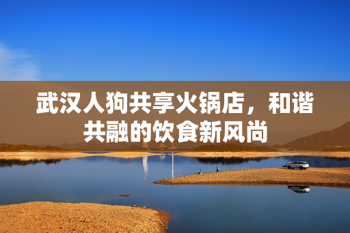 武汉人狗共享火锅店，和谐共融的饮食新风尚