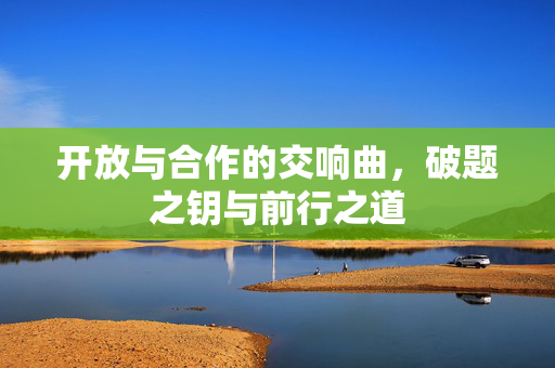 开放与合作的交响曲，破题之钥与前行之道