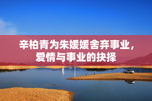 辛柏青为朱媛媛舍弃事业，爱情与事业的抉择