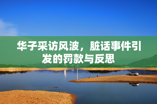 华子采访风波，脏话事件引发的罚款与反思