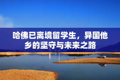 哈佛已离境留学生，异国他乡的坚守与未来之路