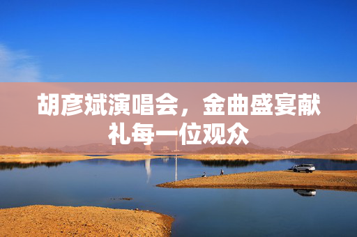 胡彦斌演唱会，金曲盛宴献礼每一位观众