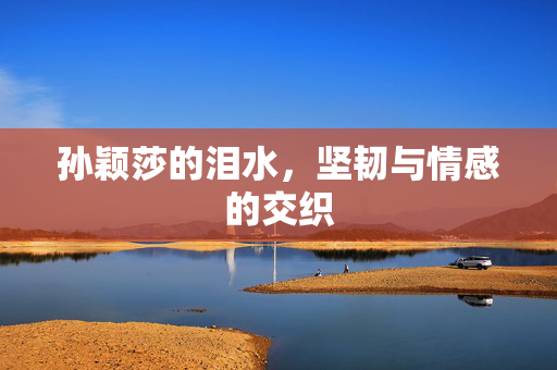孙颖莎的泪水，坚韧与情感的交织