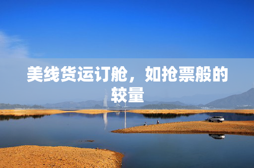 美线货运订舱，如抢票般的较量