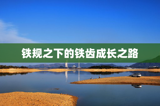 铁规之下的铁齿成长之路