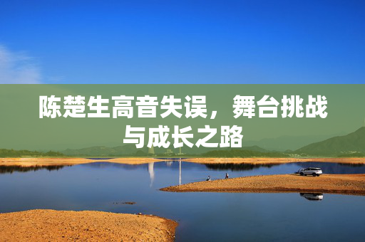 陈楚生高音失误，舞台挑战与成长之路