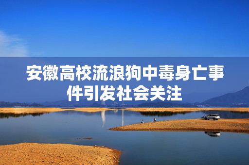 安徽高校流浪狗中毒身亡事件引发社会关注