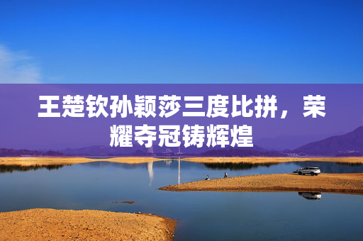 王楚钦孙颖莎三度比拼，荣耀夺冠铸辉煌