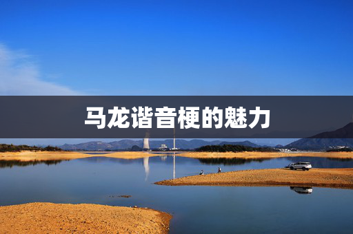 马龙谐音梗的魅力