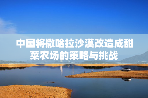 中国将撒哈拉沙漠改造成甜菜农场的策略与挑战