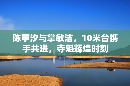 陈芋汐与掌敏洁，10米台携手共进，夺魁辉煌时刻
