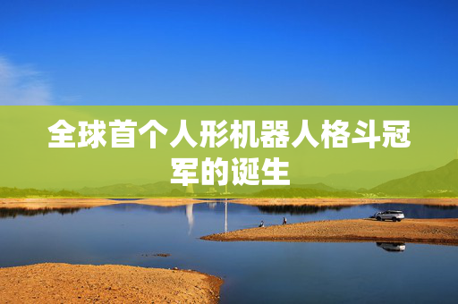 全球首个人形机器人格斗冠军的诞生