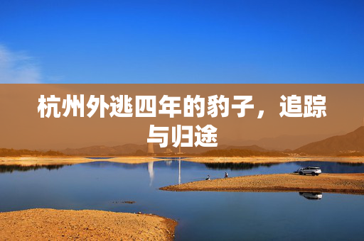 杭州外逃四年的豹子，追踪与归途