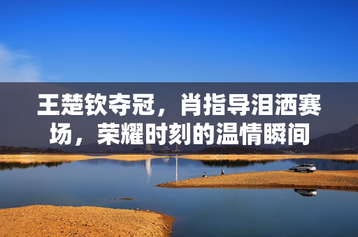 王楚钦夺冠，肖指导泪洒赛场，荣耀时刻的温情瞬间