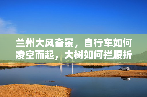 兰州大风奇景，自行车如何凌空而起，大树如何拦腰折断