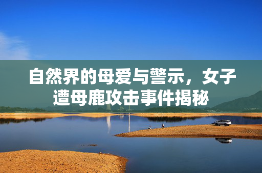 自然界的母爱与警示，女子遭母鹿攻击事件揭秘