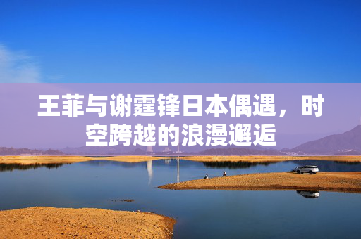 王菲与谢霆锋日本偶遇，时空跨越的浪漫邂逅