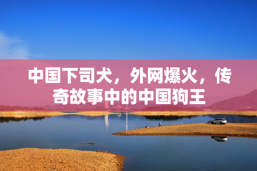 中国下司犬，外网爆火，传奇故事中的中国狗王