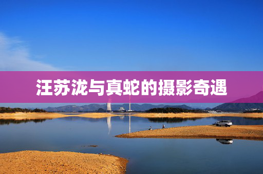 汪苏泷与真蛇的摄影奇遇
