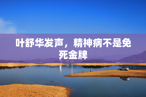 叶舒华发声，精神病不是免死金牌