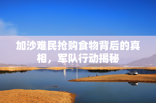 加沙难民抢购食物背后的真相，军队行动揭秘