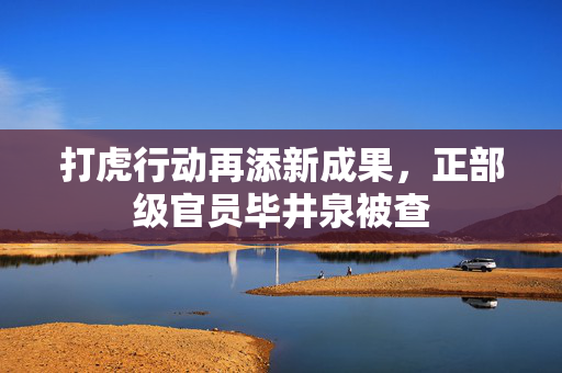 打虎行动再添新成果，正部级官员毕井泉被查