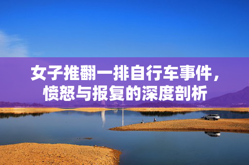 女子推翻一排自行车事件，愤怒与报复的深度剖析