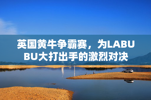 英国黄牛争霸赛，为LABUBU大打出手的激烈对决