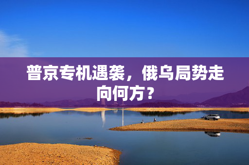 普京专机遇袭，俄乌局势走向何方？