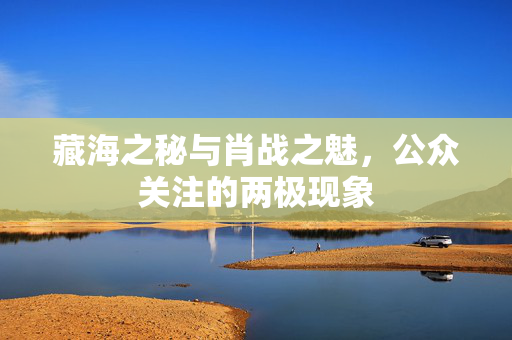 藏海之秘与肖战之魅，公众关注的两极现象