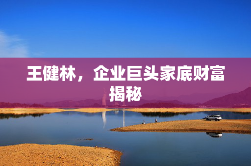 王健林，企业巨头家底财富揭秘