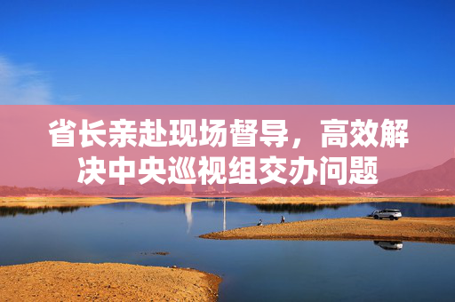 省长亲赴现场督导，高效解决中央巡视组交办问题