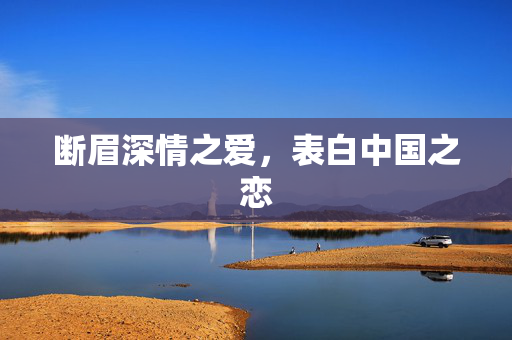 断眉深情之爱，表白中国之恋
