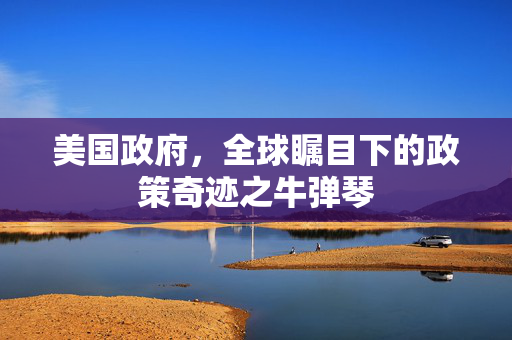 美国政府，全球瞩目下的政策奇迹之牛弹琴