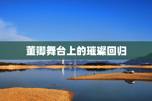 董卿舞台上的璀璨回归